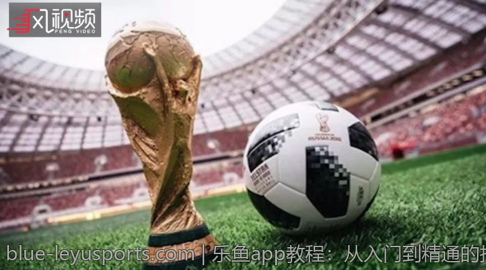 乐鱼体育官网入口的积分系统详解